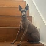 amandaily404 profile picture