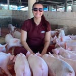 amandamedeirosao profile picture