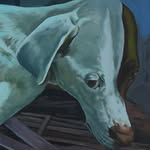 amandapandaba profile picture
