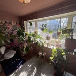 amandas_indoor_jungle profile picture