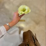 amani_francais profile picture