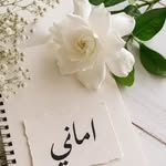 amaniirajab profile picture