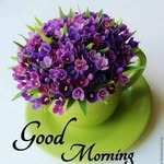 amanmaheshwariaman04868 profile picture