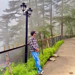 amanmehlan_ profile picture