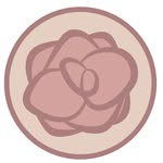 amapola.espacio profile picture