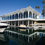 amareesnewport profile picture