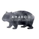 amaroowildlifeshelter profile picture