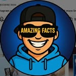 amazingfact590 profile picture