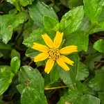 amazingmacro_world profile picture