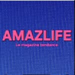 amazlife.paris_mag profile picture