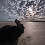 ambernp profile picture