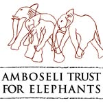 amboseli_trust profile picture