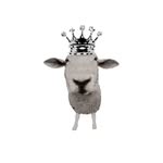 amckdance profile picture