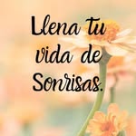amedinaplacencia profile picture