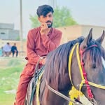 ameer_haider_lak profile picture