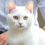 ami96rah profile picture