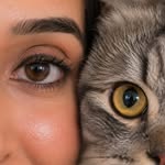 amibarbhaya profile picture