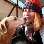 amiciidogrescue profile picture