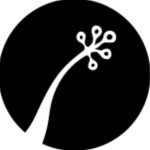 amiiyok profile picture