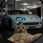 amineisisssisi profile picture