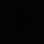 aminshabani._ profile picture