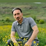 amin_tabriz1362 profile picture