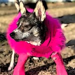 amira.amiracle profile picture