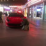 amirbehremovic24 profile picture