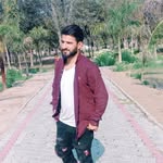 amirsyed3911 profile picture