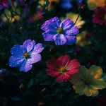 amit9495206 profile picture