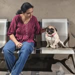 amitaa_sanjay profile picture