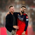 amit_shird profile picture