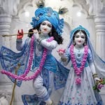 amitthakur111223 profile picture