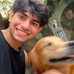 amleshhhhhh profile picture