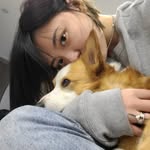 amlooie profile picture