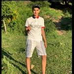 ammoerkhalil profile picture