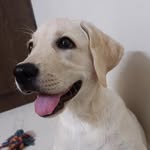 ammu_zeo_19 profile picture