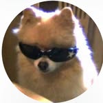amnatahirch profile picture