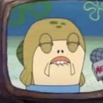 amo.omoo profile picture