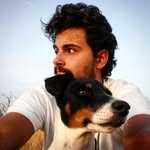 amodeo13 profile picture