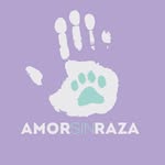 amorsinraza profile picture