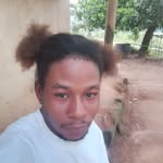 amosbulus9 profile picture