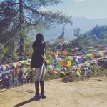 amo_zess profile picture