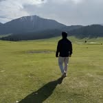 amrit_arora2811 profile picture