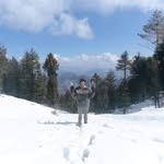 amsalsitepu profile picture