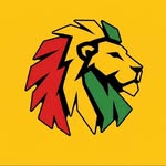 amsterdamreggaefestival profile picture