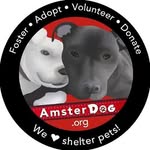 amsterdogrescue profile picture