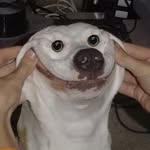 amyhixson profile picture