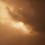 amy_sall profile picture