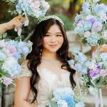 amyxqwang profile picture